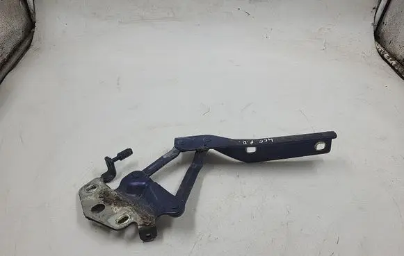 Volkswagen PASSAT B6 Engine bonnet/hood hinges
