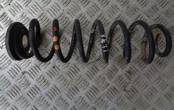 Rear coil spring