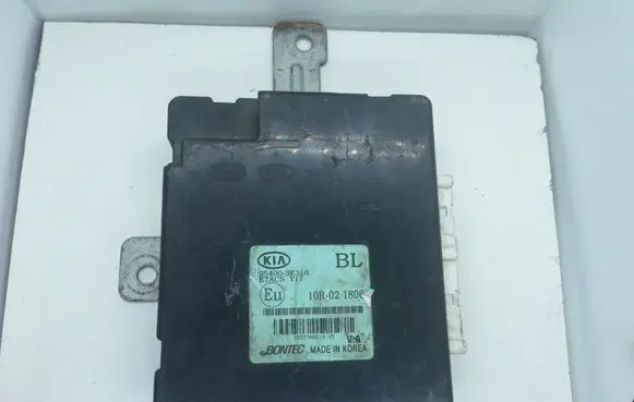 KIA Sorento Other control units/modules 954003E310 10R021806