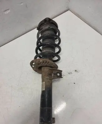 Volkswagen PASSAT B6 Front shock absorber/damper 3C0413031N VW461ZFV169 824904001778