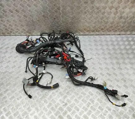 Tesla Model 3 Other wiring loom 156796404B