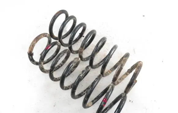 Rear coil spring
