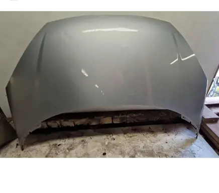 Engine bonnet/hood