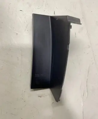 Rear/tail light trim molding