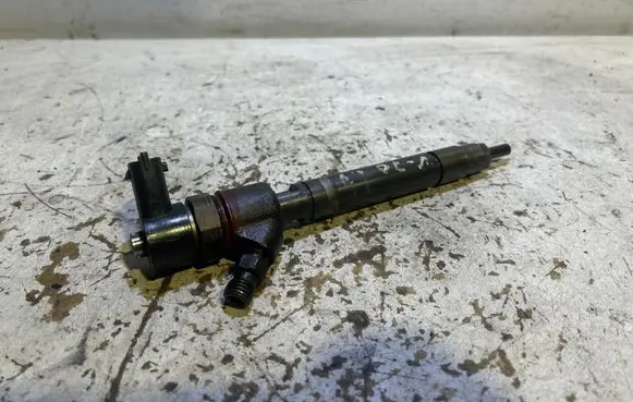 Volvo V70 Fuel injector 0445110298