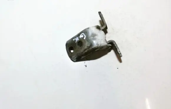Rear door lower hinge