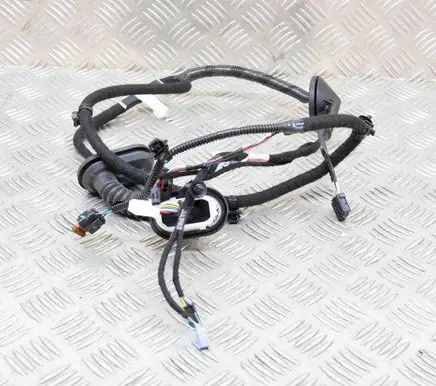 Rear door wiring loom