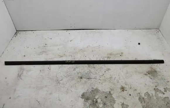 Volkswagen Golf Sportsvan Front door glass trim molding 510837477