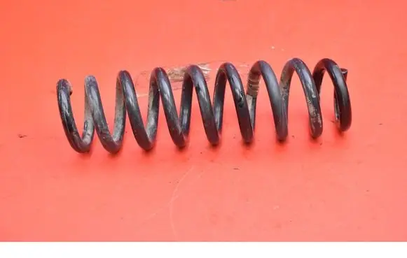 Rear coil spring
