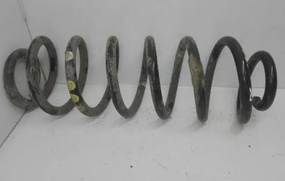 Volkswagen PASSAT B6 Rear coil spring