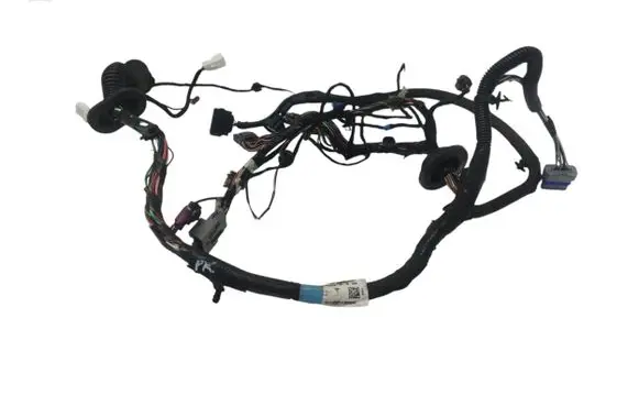 Front door wiring loom