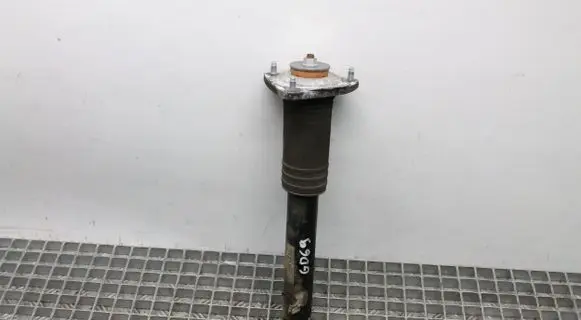 BMW X5 E70 Rear shock absorber/damper 6781932