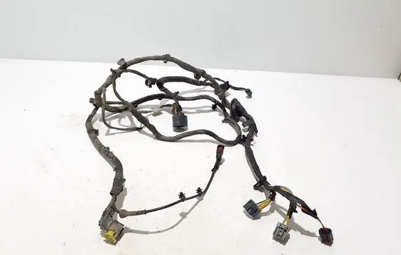Other wiring loom