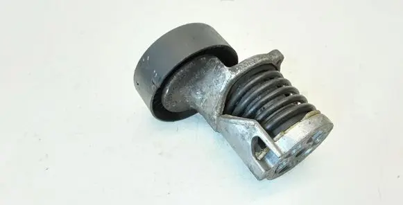 Volkswagen Polo IV 9N3 Generator/alternator belt tensioner 038903315AH