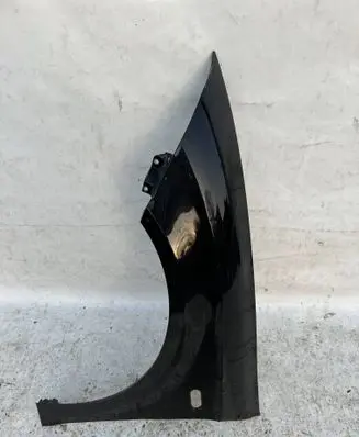 Fender
