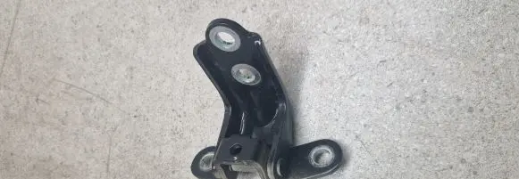 Hyundai Ioniq 5 Front door lower hinge 