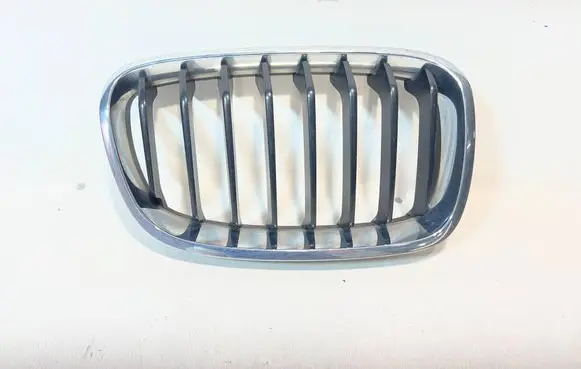 BMW 1 F20 F21 Front bumper upper radiator grill 7239022