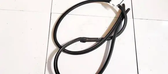 Nissan X-Trail T30 Rubber seal front coupe door 