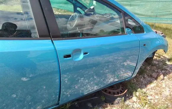 Nissan Leaf I (ZE0) Front door