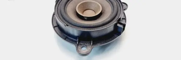 Renault Zoe Rear door speaker
