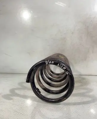 Rear coil spring