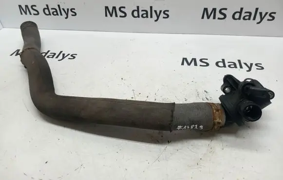 Thermostat/thermostat housing