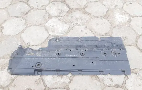 Dacia Sandero Side bottom protection 748156831R
