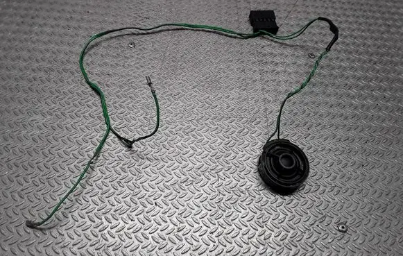 Front door high frequency speaker