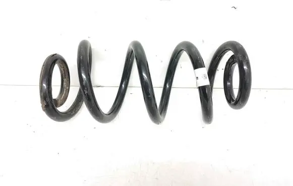 Rear coil spring