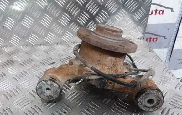 Volkswagen PASSAT B5 Rear wheel hub spindle/knuckle 0265008572