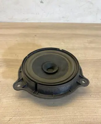 Rear door speaker
