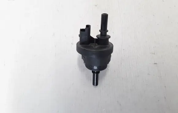 Renault Megane IV Valve 2580119A