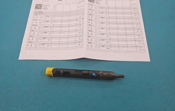 Renault Clio III Fuel injector EJBR05102D IMPRK1494534