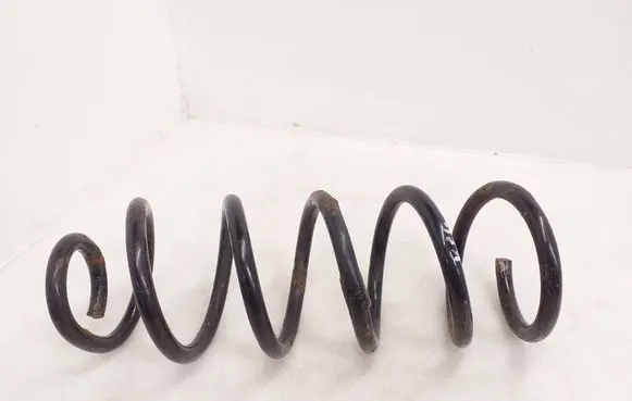 Rear coil spring