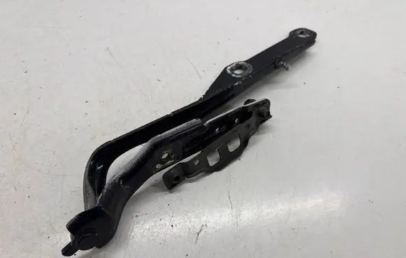 Dodge Charger Engine bonnet/hood hinges 55113551AF