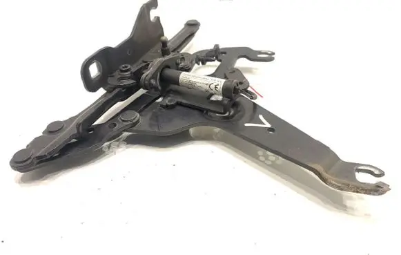 BMW X6 F16 Engine bonnet/hood hinges 7294529