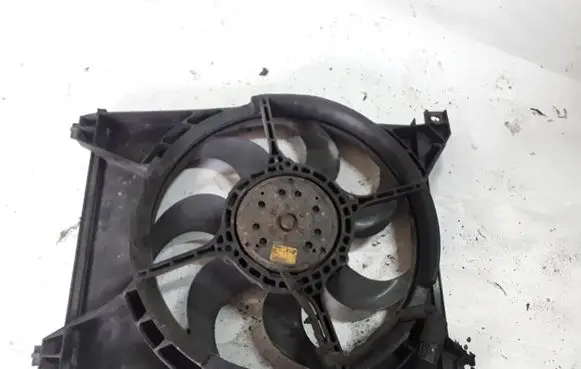 Hyundai Trajet Electric radiator cooling fan F00S3C2166