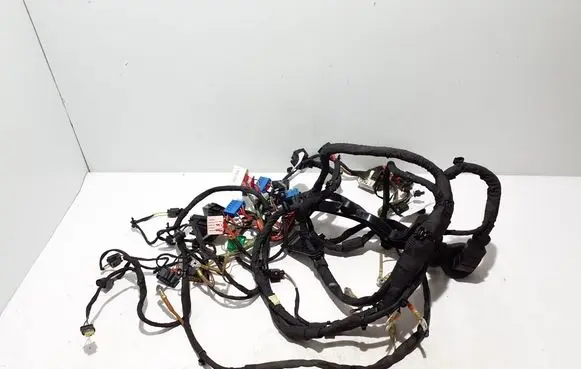 Other wiring loom