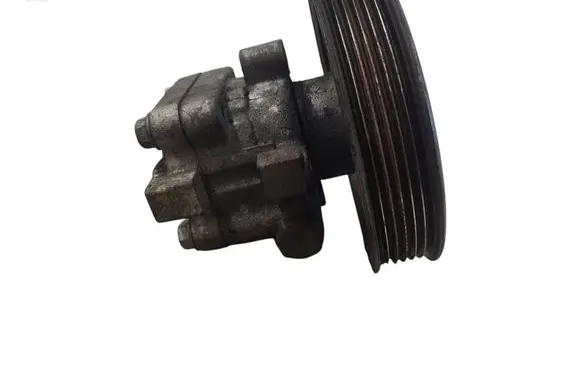 Opel Antara Power steering pump 40D333D3