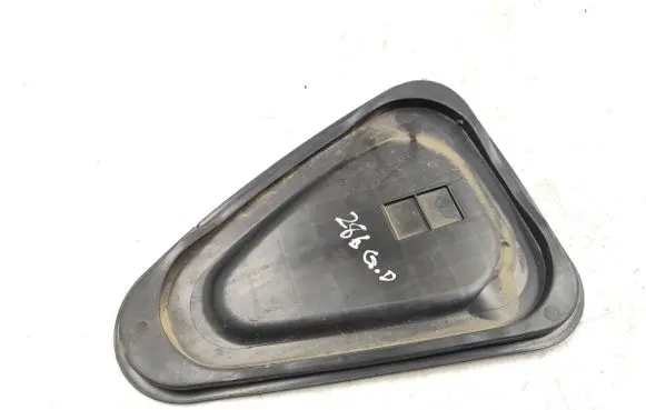 Other rear door trim element