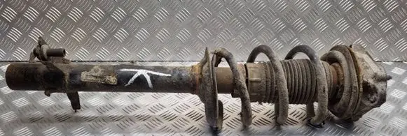 Peugeot Boxer Front shock absorber with coil spring 01046350707979E177