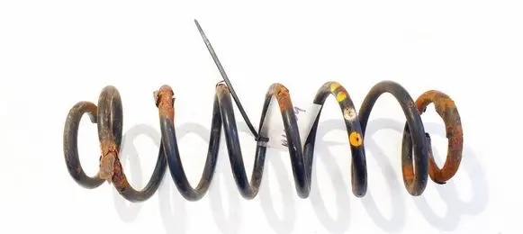 Rear coil spring