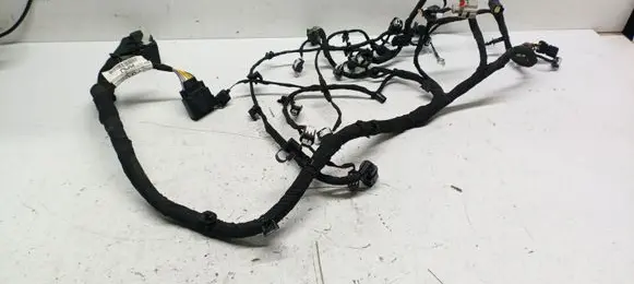 Ford Focus Other wiring loom 