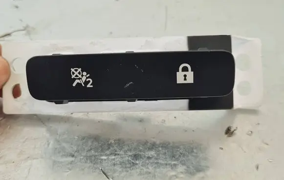 Nissan Leaf I (ZE0) Central locking switch button 1225