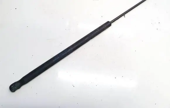 Tailgate/trunk strut/damper