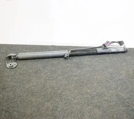 Tailgate/trunk strut/damper