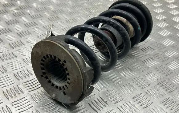 Chrysler Pacifica Rear coil spring