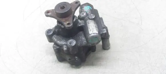 Renault Trafic II (X83) Power steering pump 491101050R