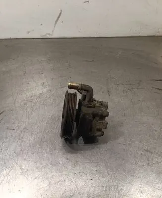 Suzuki Grand Vitara II Power steering pump 4910065J00 55103106