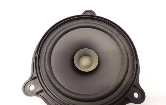 Nissan Titan Rear door speaker 281567Z800